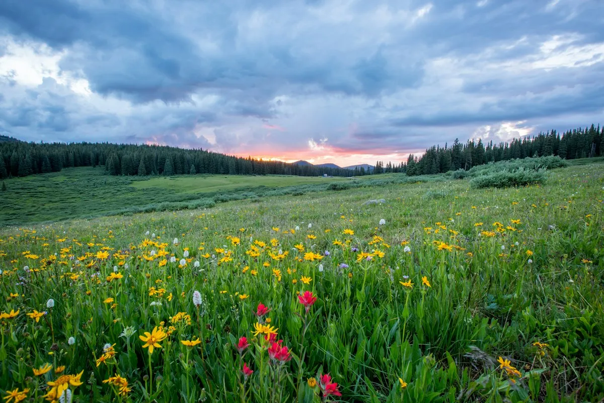 Daily Morning Motivation: 40 Quotes to Kickstart High Productivity