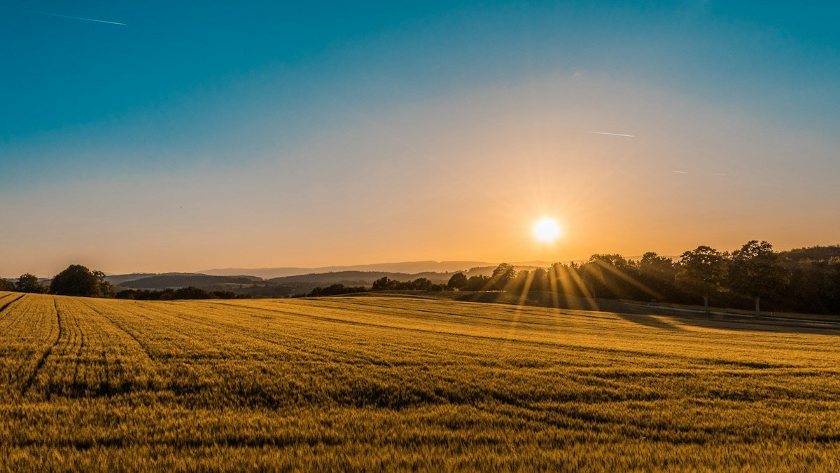 60+ Beautiful Good Morning Wishes Images with Quotes (HD Photos & Morning Blessings)