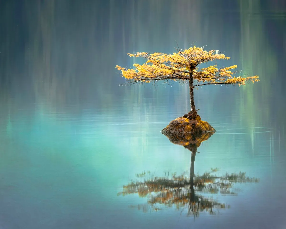 75+ Powerful Karma Quotes on Fate, Destiny & Life Consequences
