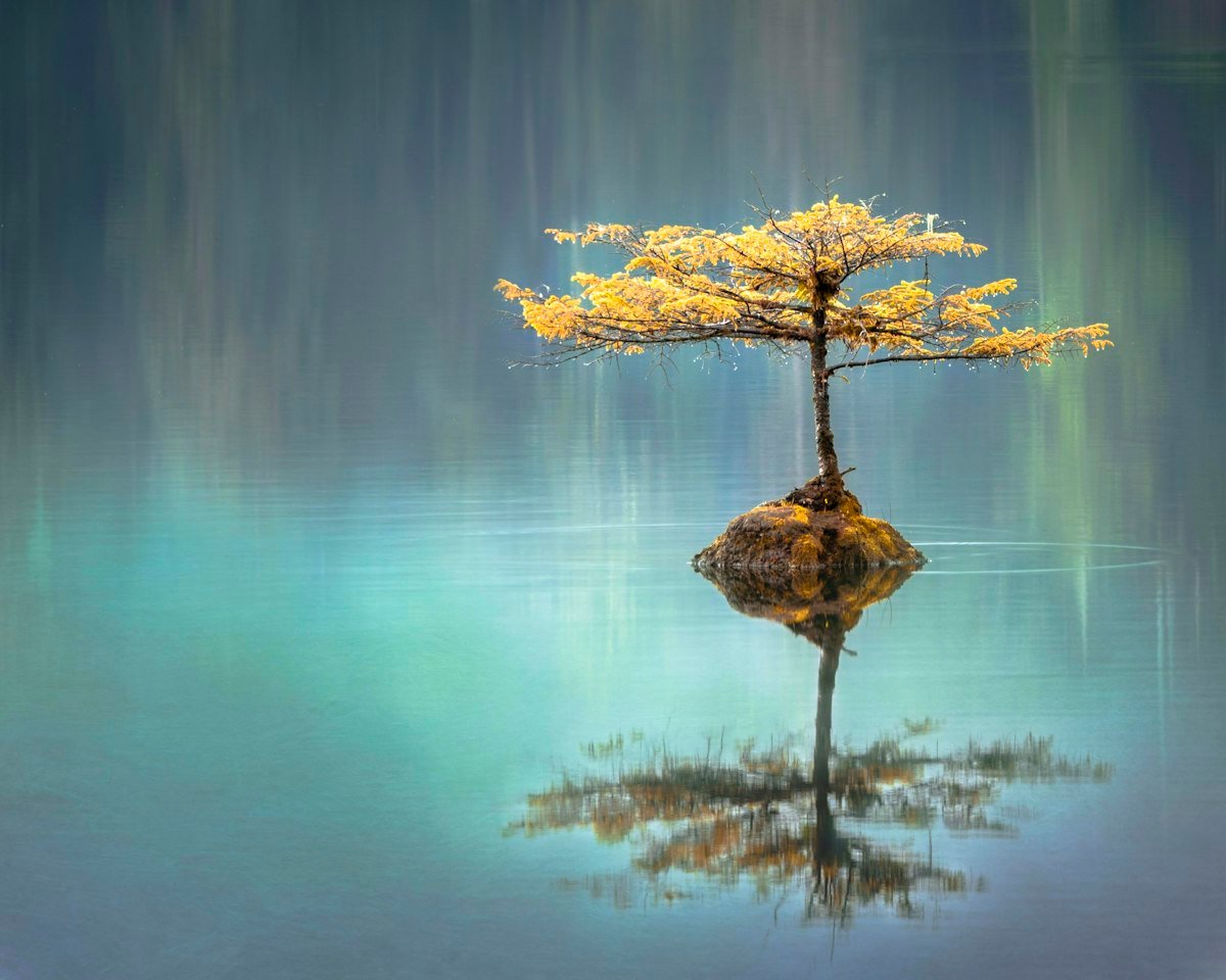 Sunday is a day of rest, a day to reflect on the blessings of the week, and a day to gather strength for the journey ahead. - Daily Reflections - Quote Collection HD Picture Quote